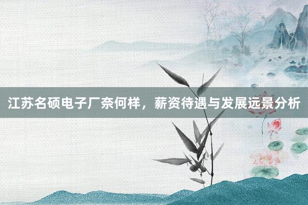 江苏名硕电子厂奈何样，薪资待遇与发展远景分析