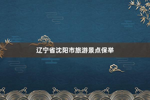 辽宁省沈阳市旅游景点保举